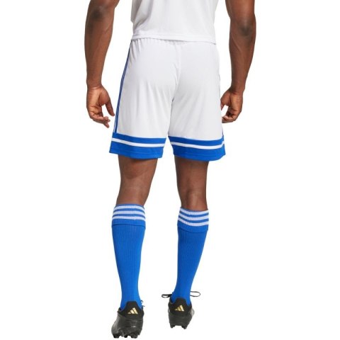 Spodenki adidas Squadra 25 M JH3409