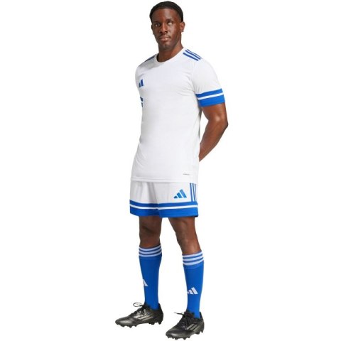 Spodenki adidas Squadra 25 M JH3409