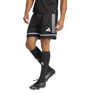 Spodenki adidas Squadra 25 M JN5469