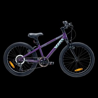 Dziecięcy Rower Martes Essentials Ninja 20 92800597994