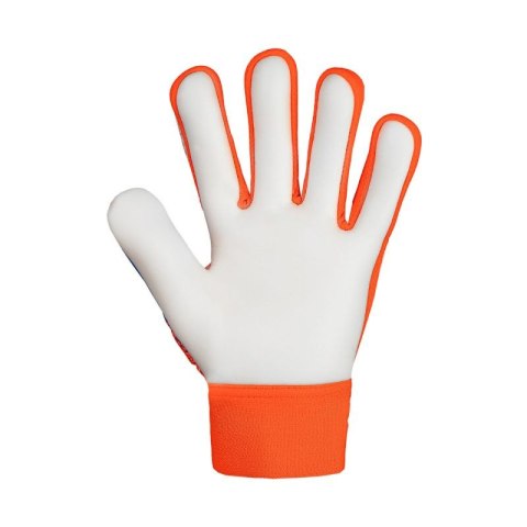 Rękawice bramkarskie Reusch Attrakt Starter Solid Finger Support Jr 5472511 2290 Rękawice bramkarskie Reusch Attrakt Starter Solid Finger Support Jr 5472511 2290