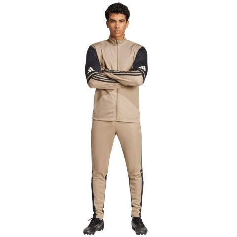 Spodnie adidas Squadra 25 Training M JP3374