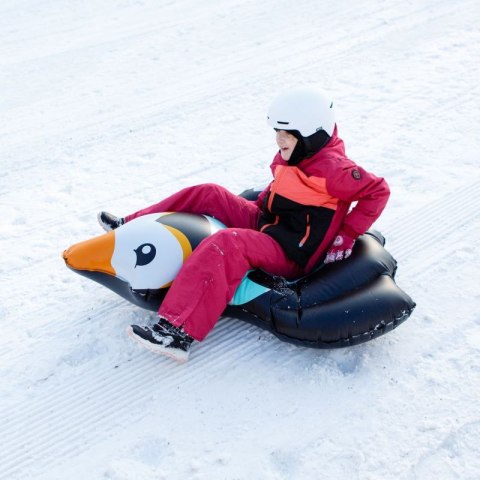 Ślizg śnieżny Meteor Penguin 16763 Ślizg śnieżny Meteor Penguin 16763