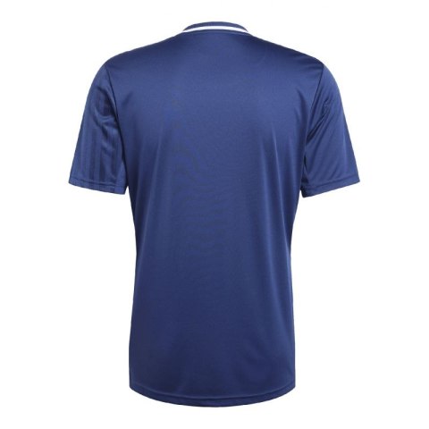 Koszulka adidas Campeon 25 M JF6061 Koszulka adidas Campeon 25 M JF6061