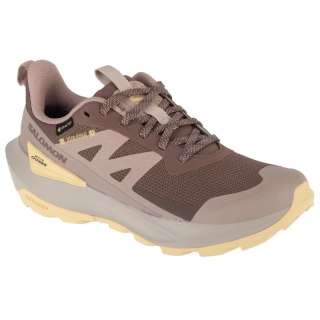 Buty do biegania Salomon Elixir Active GTX W L47760100