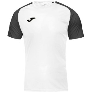 Koszulka piłkarska Joma Academy IV Sleeve 101968.201