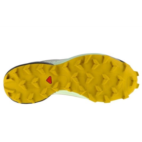 Buty do biegania Salomon Speedcross 5 GTX W 416128