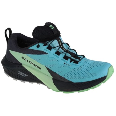 Buty do biegania Salomon Sense Ride 5 GTX W 472160 Buty do biegania Salomon Sense Ride 5 GTX W 472160